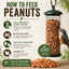 Heatherlea | Wild Bird Feeding | High Quality Peanuts