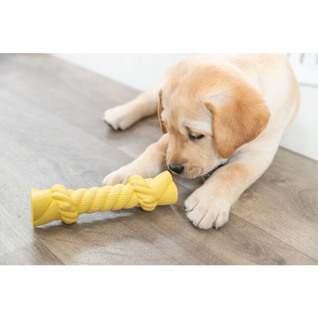 Trixie | Junior Rustling Rope | Latex Puppy Toy