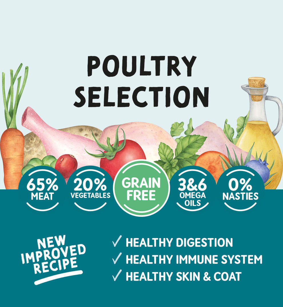 Naturo Adult Dog Poultry Selection 🐔🦆🦃 Grain Free Wet Food Variety Pack – 12 x 400g