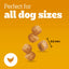 Pedigree Tasty Bites Minis Puppy Treats (125g)
