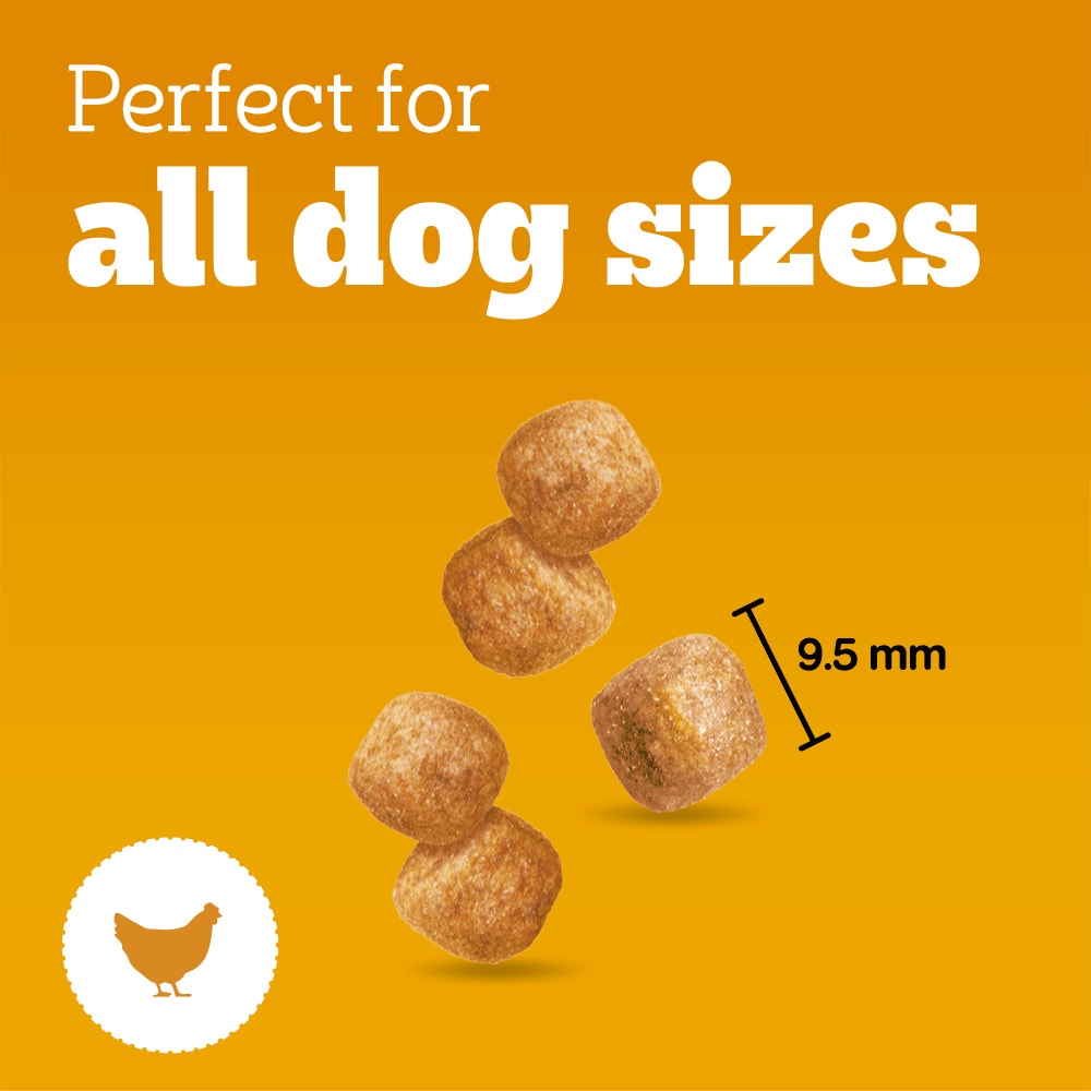 Pedigree Tasty Bites Minis Puppy Treats (125g)