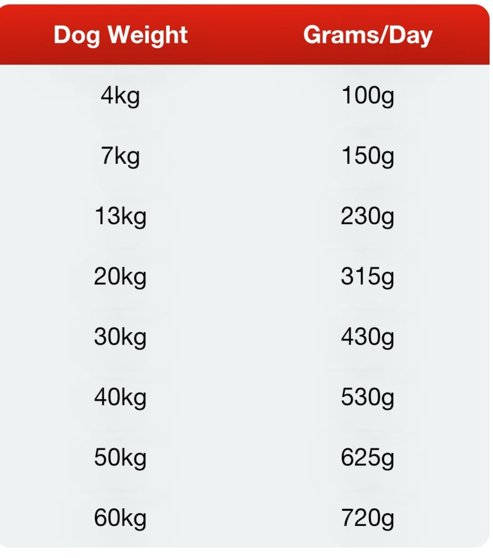 Gain Maintenance 🐕 VAT Free Dry Food for Resting & Retired Dogs