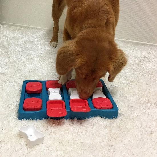 Dog interacting with a puzzle toy on a carpeted floor