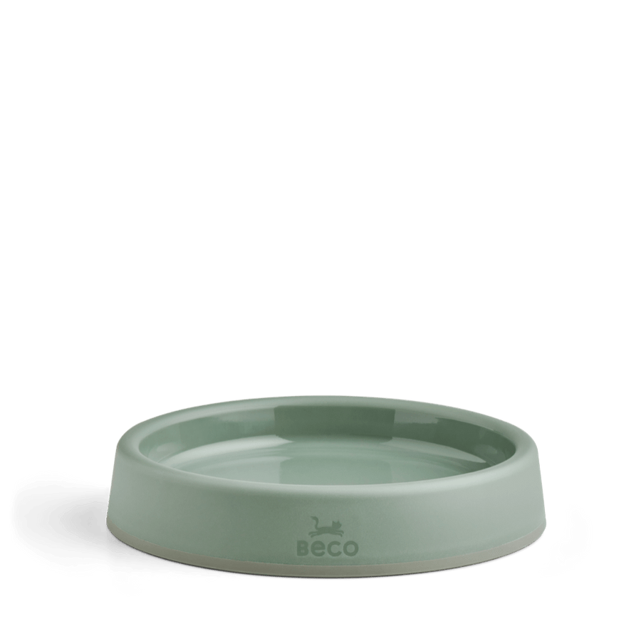 Beco | Cat Food & Water Steady Bowl | Eco Friendly Recycled Plastic - Green
