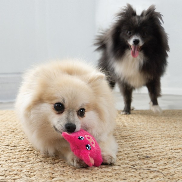 KONG Snuzzles Minis | Plush Squeaky Dog Toy (Pig & Frog Designs)