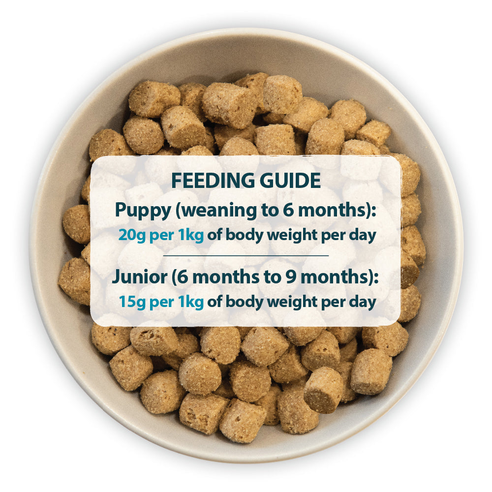 Burns Mini Puppy Chicken & Rice 🐔 Original Holistic Gluten Free Dry Food for Small Breed Dogs