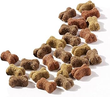 Wagg Mini Meaty Bones 🐔🐮🐑 Training Treats for Dogs - 125g