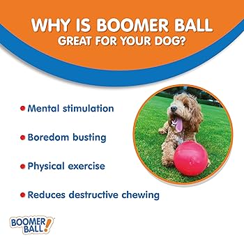 Indestructible Dog Toys 20 Inch Boomer Ball 20 Inch Boomer Ball