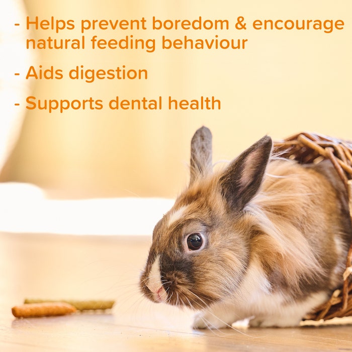 Beaphar Munching Sticks | Natural Small Animal Treats for Rabbits, Guinea Pigs & Rodents