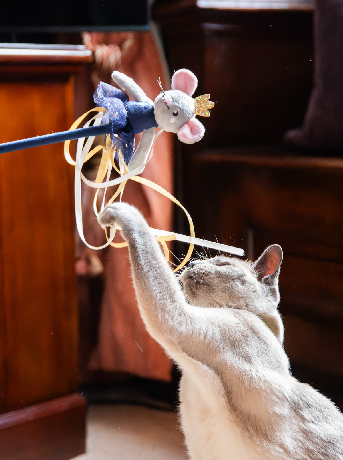 Marie Mouse Teaser 🎄 Christmas Cat Toy by Cupid & Comet