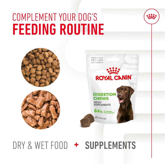 Royal Canin | Functional Dog Treats | Digestion Chews - 160g