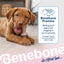 Benebone Puppy Bacon Infused Stick & Zaggler Duo | Durable Dog Chew Toys