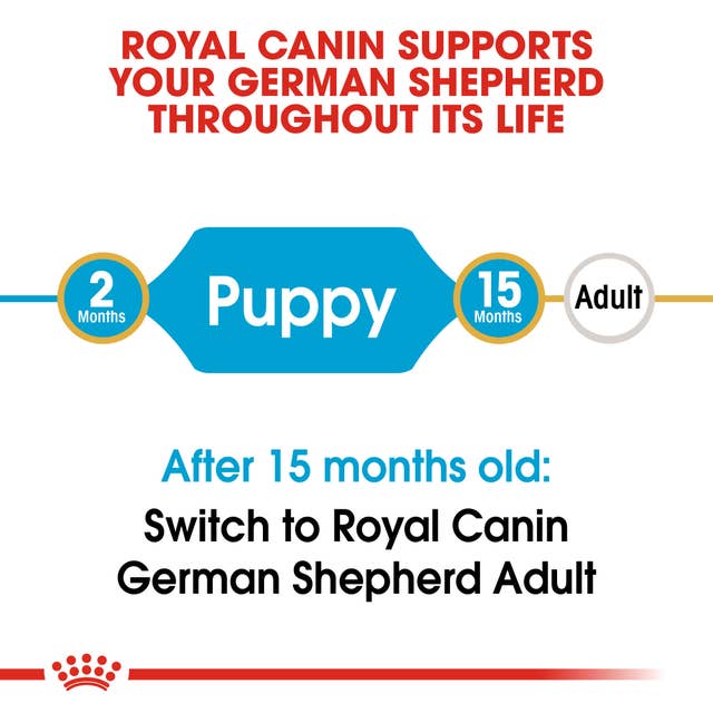 Royal Canin German Shepherd Junior Breed Health Nutrition Dry Dog Food
