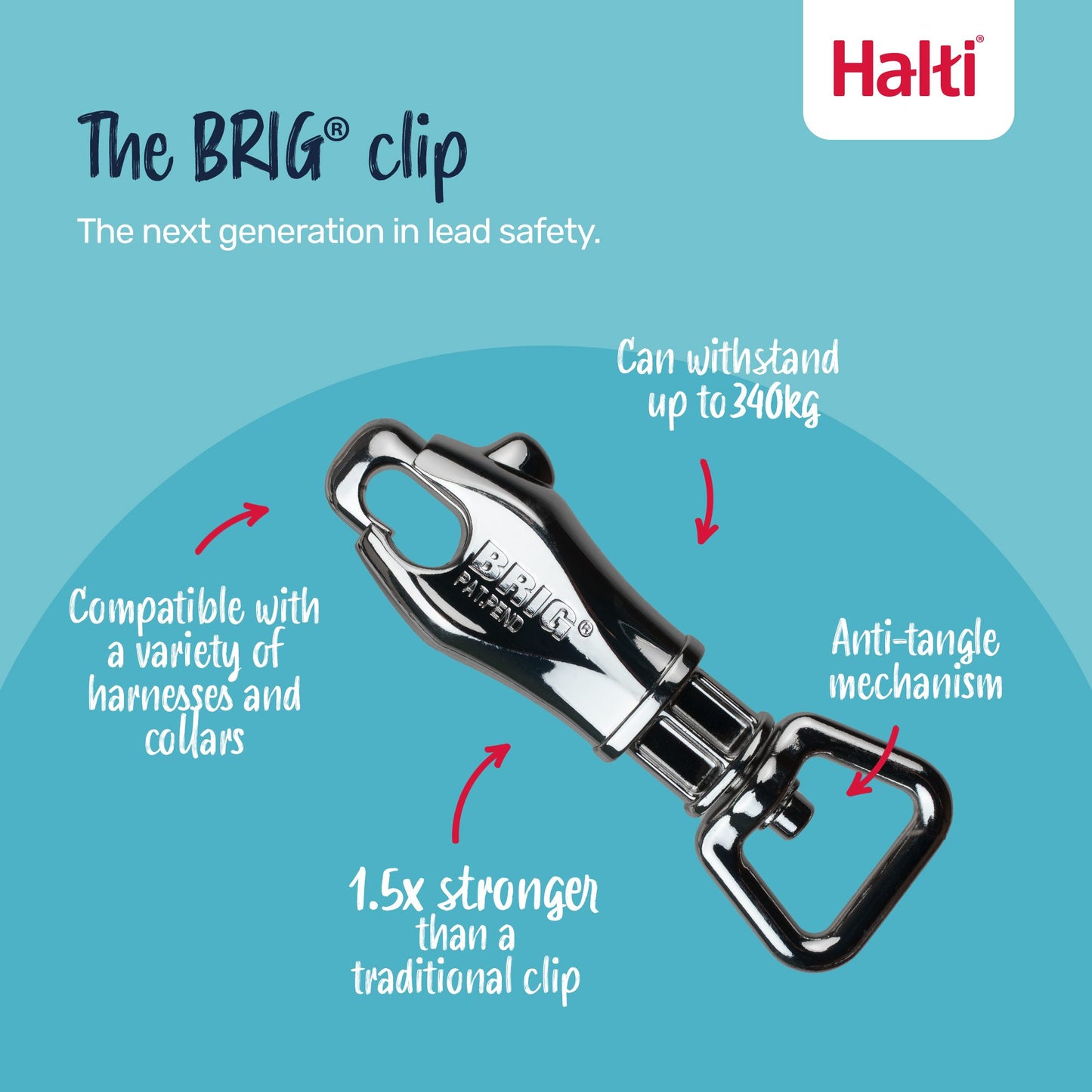 Halti BRIG® Safety Dog Lead | Ultra-Strong Control for Powerful & Big Dogs