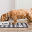 Dinner Mate Absorbent Food & Water Bowl Mat by Pet Rebellion