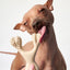 BetterBone | Dog Chew Toy | Medium Durability for Everyday Chewers - Beef Flavour