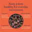 Barkt Mobility Supplements for Dogs | Natural Remedy (was Vixen)