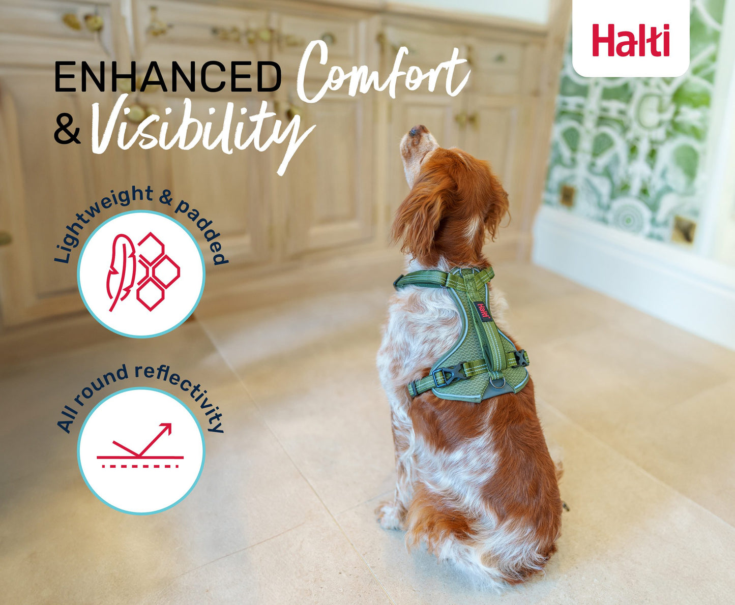 Halti Anatomy Harness | Comfortable Dog Walking & Training