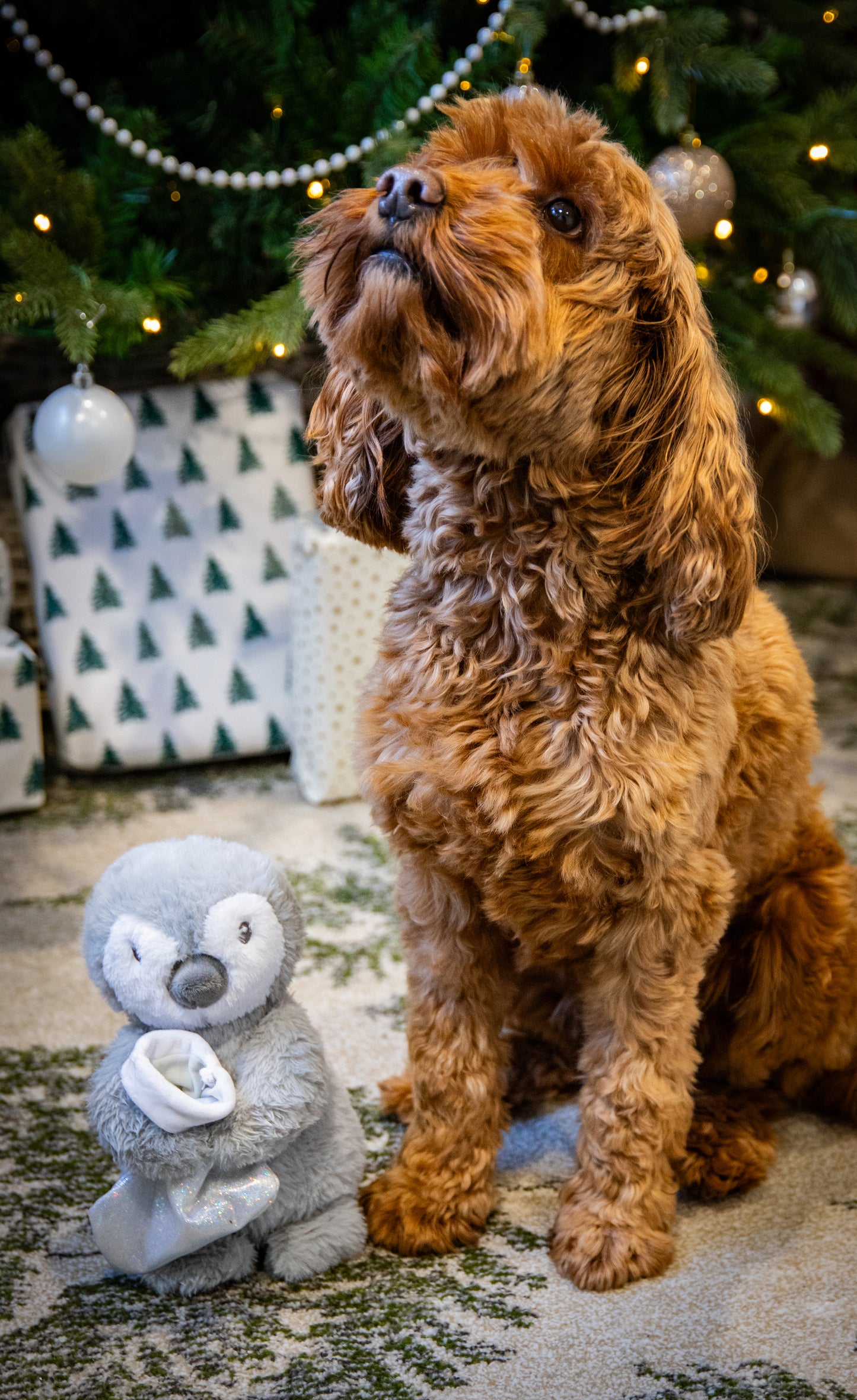 Rosewood Festive Prancer Penguin | Christmas Dog Toy
