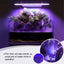 Hygger Cool Fog Mister with LED Lighting | Reptile & Amphibian Humidity Raiser