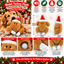 Roast Turkey Plush 🦃 Christmas Dog Toy by Happy Pet