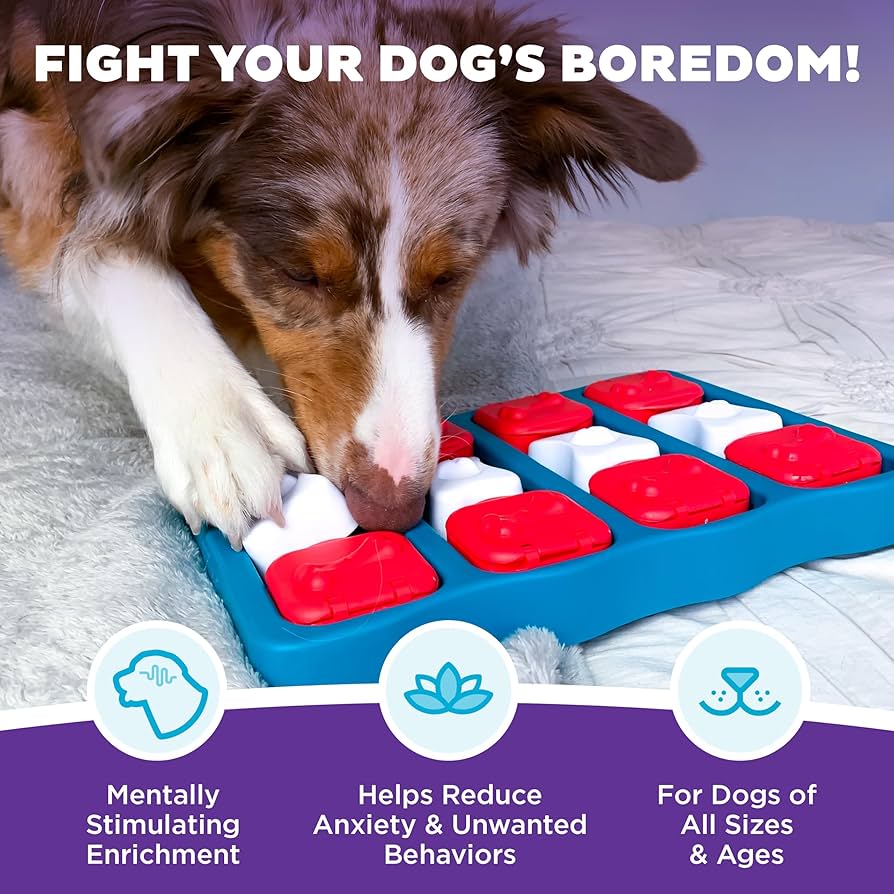 Dog playing with a puzzle toy designed to fight boredom, on a soft surface.