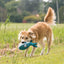 Kong CuteSeas | Soft Dog Toy | Seahorse