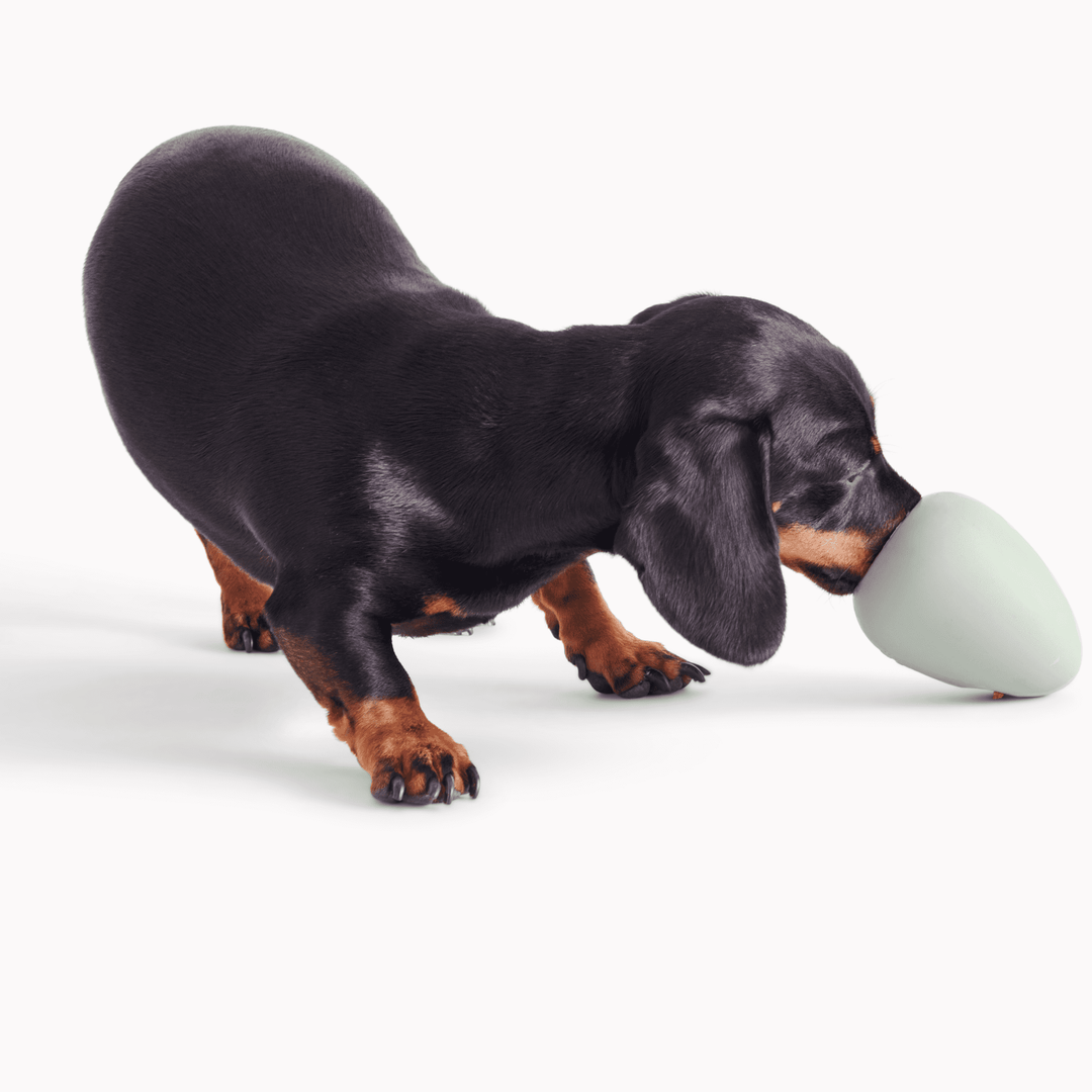 Beco Boredom Buster 🦴 Natural Rubber Treat Dispensing Enrichment Toy for Dogs