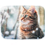Christmas cat laying mat bed