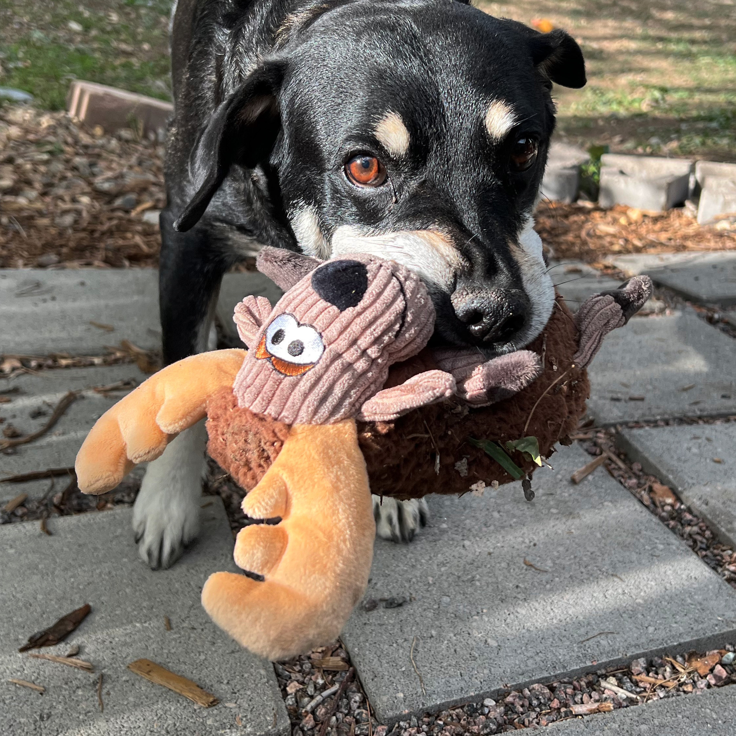 KONG Sherps Floofs Moose | Plush Dog Toy