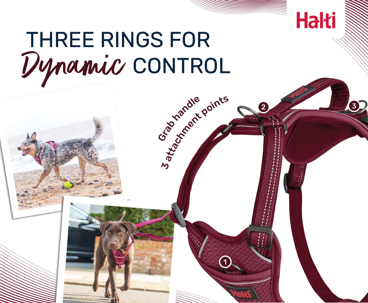 Halti Anatomy Harness | Comfortable Dog Walking & Training
