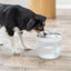 TRIXIE Aqua Clear Dog Drinking Fountain – Stainless Steel Bowl, 2.5L