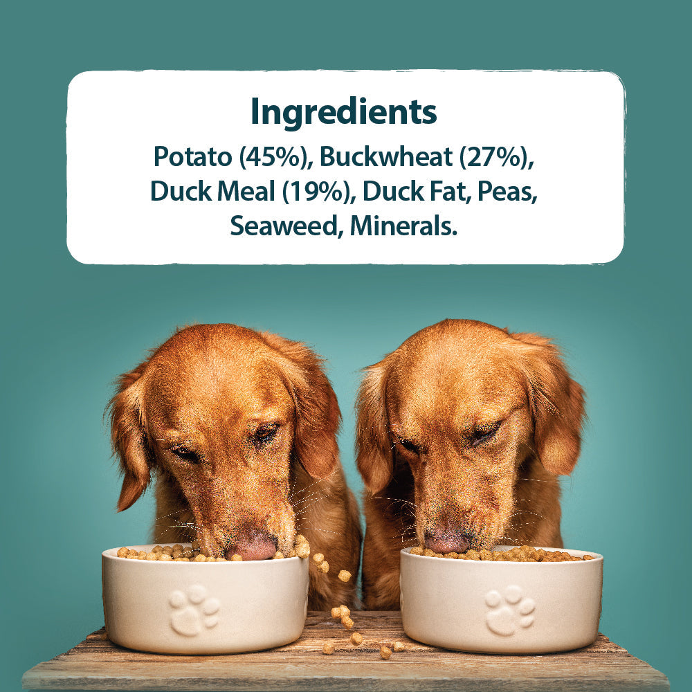 Burns Duck & Potato Adult Sensitive 🦆 Original Holistic Grain Free Dry Dog Food