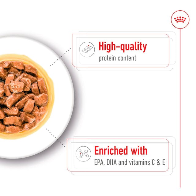 Royal Canin Medium Ageing 🐕 Size Health Nutrition Wet Dog Food
