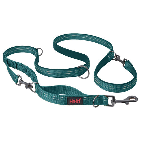 Halti Anatomy Multi Lead | Adjustable, Comfortable & Versatile Dog Walking