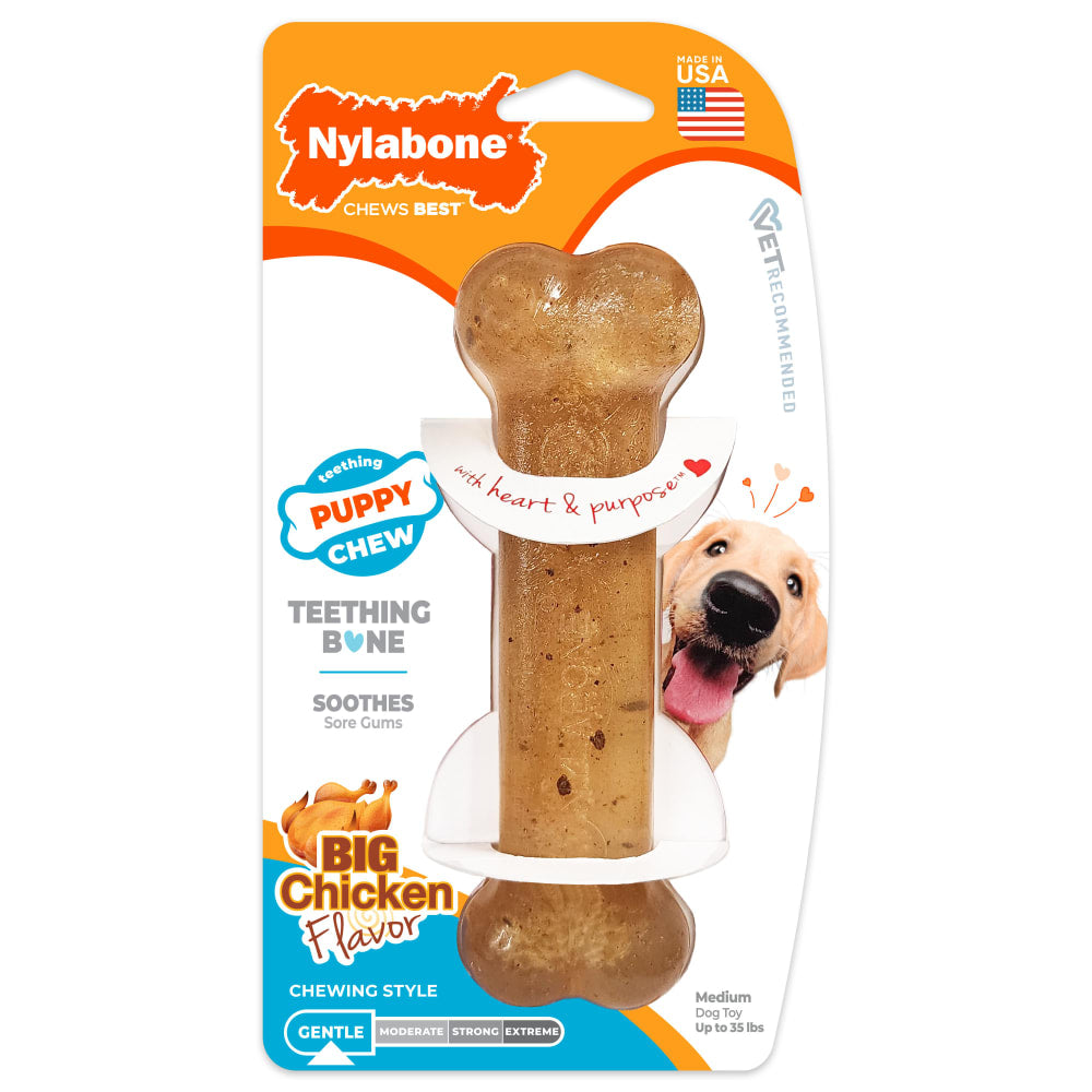 Nylabone dog chew toy with packaging on a white background