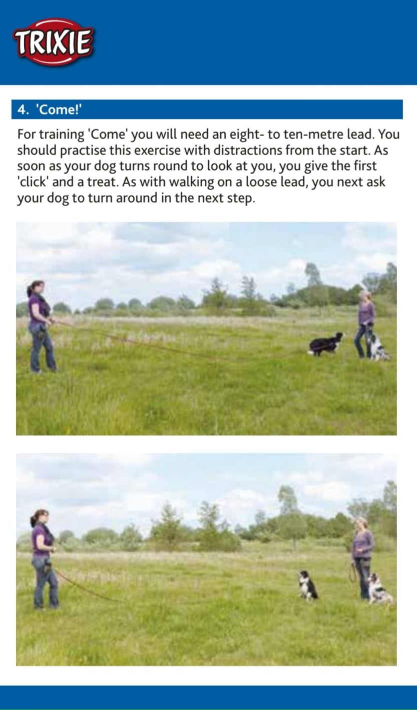 Trixie | Dog Activity | Training Touch Target Stick