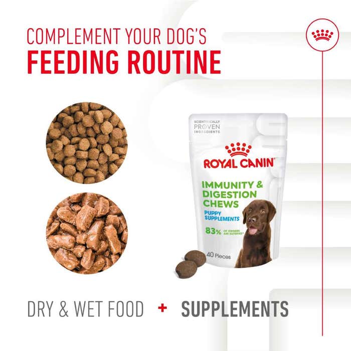 Royal Canin Immunity & Digestion Puppy Chews Functional Dog Treats - 100g
