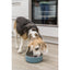 Trixie Slow Feeding Ceramic Dog Bowl Anti-Gulp Spiral Design