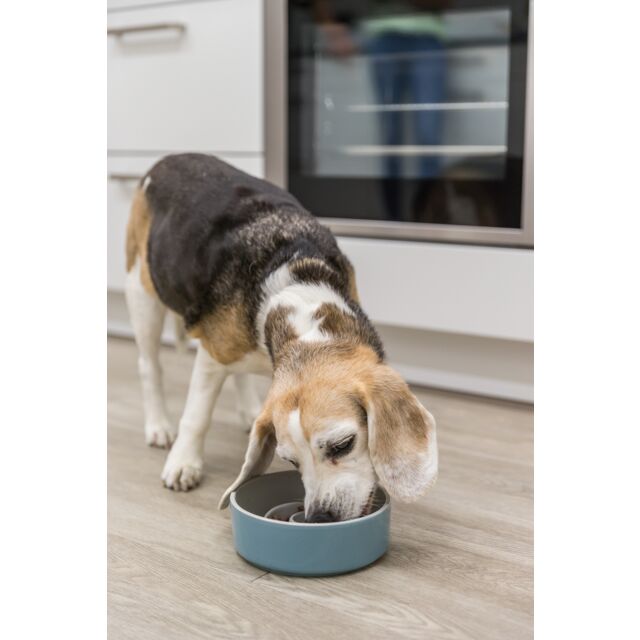Trixie Slow Feeding Ceramic Dog Bowl Anti-Gulp Spiral Design