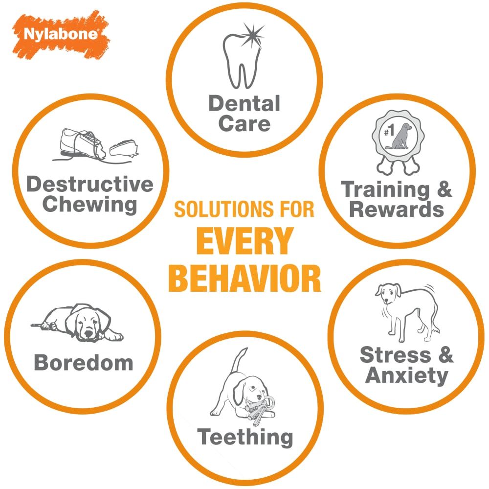 Nylabone product line for dog behavior solutions on a white background