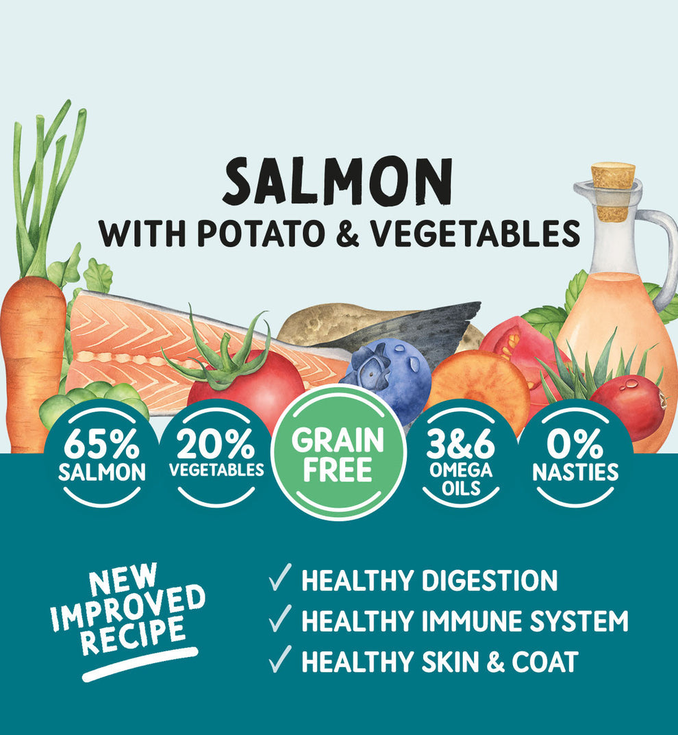 Naturo Salmon & Potato with Vegetables 🐟 Grain Free Wet Dog Food Tray - 400g