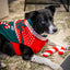 Dog Christmas jumper