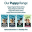 Burns Mini Puppy Chicken & Rice 🐔 Original Holistic Gluten Free Dry Food for Small Breed Dogs