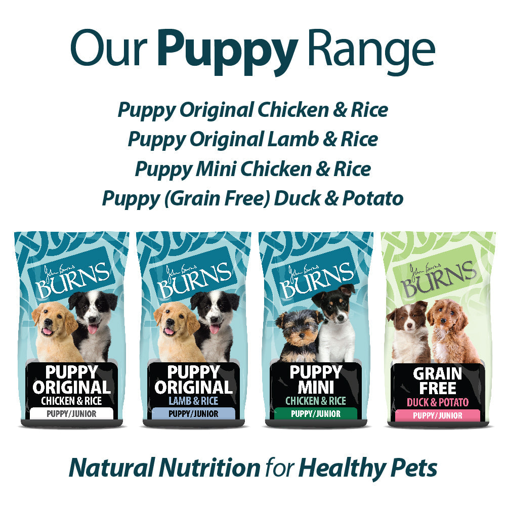 Burns Mini Puppy Chicken & Rice 🐔 Original Holistic Gluten Free Dry Food for Small Breed Dogs