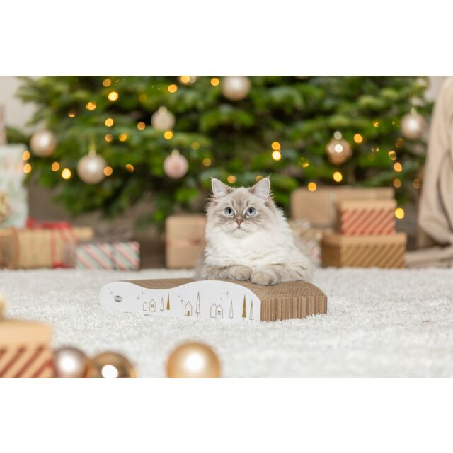 Cat sitting on a cardboard box with a Christmas tree and presents in the background