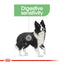 Royal Canin Medium Digestive 🐕 Size Health Nutrition Dry Dog Food