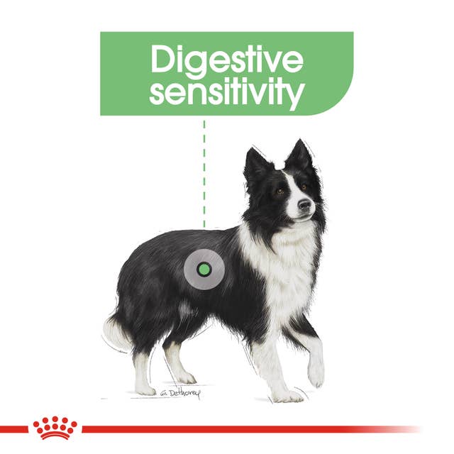 Royal Canin Medium Digestive 🐕 Size Health Nutrition Dry Dog Food
