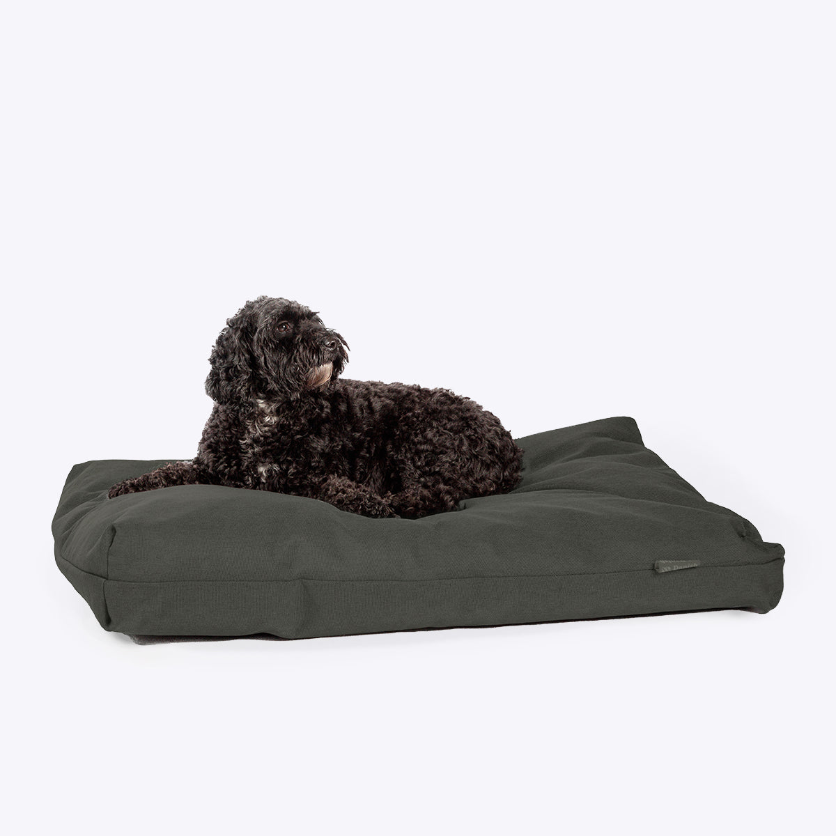 Danish Design Anti-Bacterial Dog Deluxe Duvet - Green
