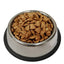 Stainless steel bowl filled with dog food on a white background